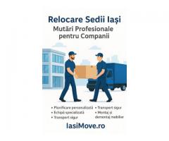 Relocare Sedii Iasi – Mutari Profesionale pentru Companii