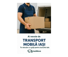 Transport mobila iasi - Transport marfa iasi - Mutari firme in Iasi